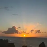 ぱるるの画像