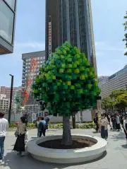 とむの画像