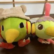 あちゃもの画像