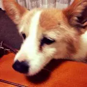 NAKOの画像