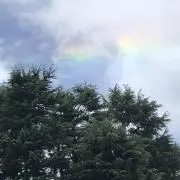 ココナッツ