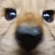 mi☆e