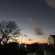 こたろ