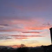 ウラの画像