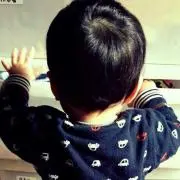 ぽむむ