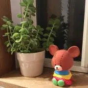 ちゃとら
