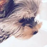 にこ