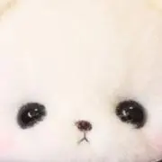 ゆの画像