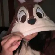 かかの画像