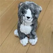 値段交渉します(^^)