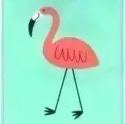 フラミンゴの画像
