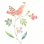 edennokotoriの画像
