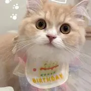 いっぺーちゃん