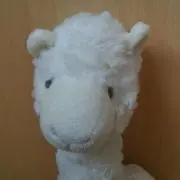 mofuの画像