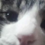 ゴッちゃん