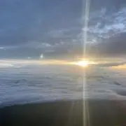 越後屋の画像