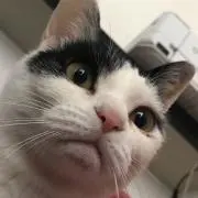 じゅのの画像