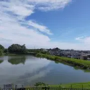 カルピスビート