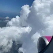 ビスの画像