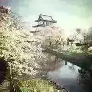 ⭐︎nagi⭐︎お値下げ交渉承ります！の画像