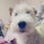 まー