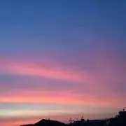 (*´ `*)の画像