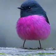 ku-nanの画像