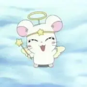 Haの画像