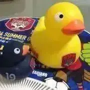 nakataの画像