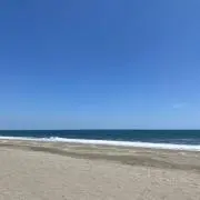 rio73の画像