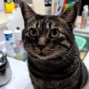 春夏秋冬