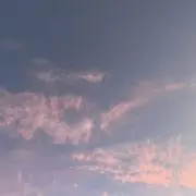 16の画像