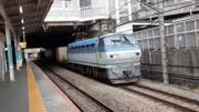 枯れ枝機関車の画像