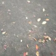 ぽぅの画像