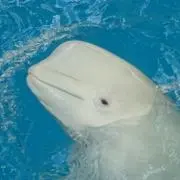 ろん【入れ替え整理断捨離】の画像