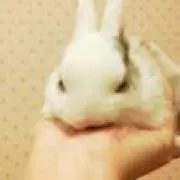 mi　プロフ必読