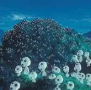 モモリソン　＊プロフ必読