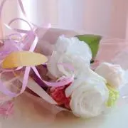 アリスの画像