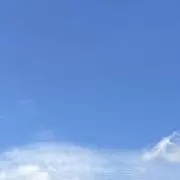 ひまわりの画像
