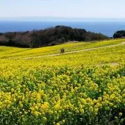 ☆なるん☆の画像