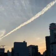こたの画像