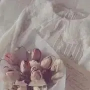 コマルの画像