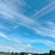 まるふく