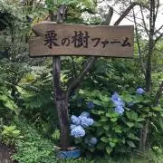 SUPLI