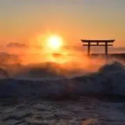 あーくんmamaの画像
