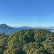 Image of みこち