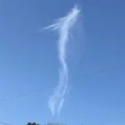 トシ