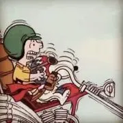 paranoid