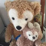 ぁークンmama プロフ読んで下さい♡の画像