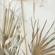 reonの画像